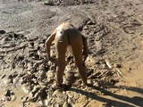 masturbation in the mud